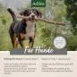 Preview: ZeckenSchild - natürliche Zeckenabwehr für Hunde - 60 Tabletten